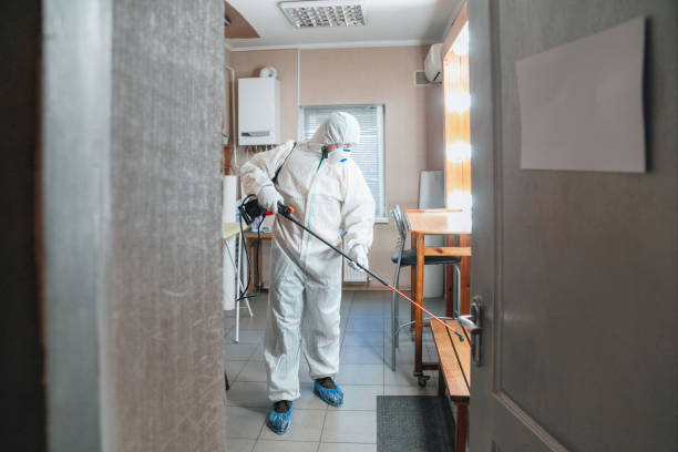 Best Biohazard Mold Removal  in Daytona Beach Shores, FL