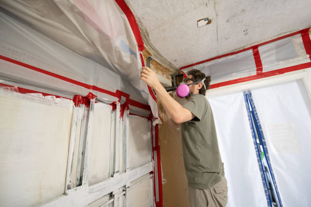 Mold Odor Removal Services in Daytona Beach Shores, FL